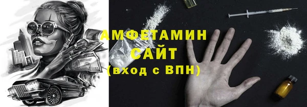 прущие крисы Ельня