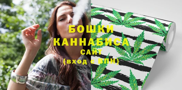 гидропоника Елабуга