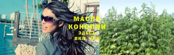 гидропоника Елабуга