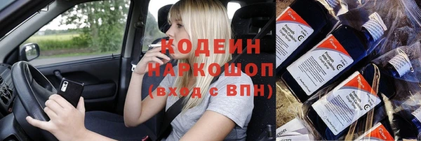 прущие крисы Ельня