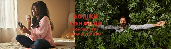 гидропоника Елабуга