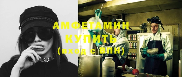 прущие крисы Ельня