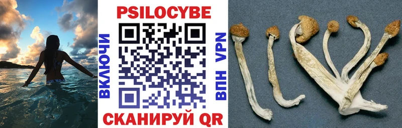 Псилоцибиновые грибы мухоморы Волгодонск